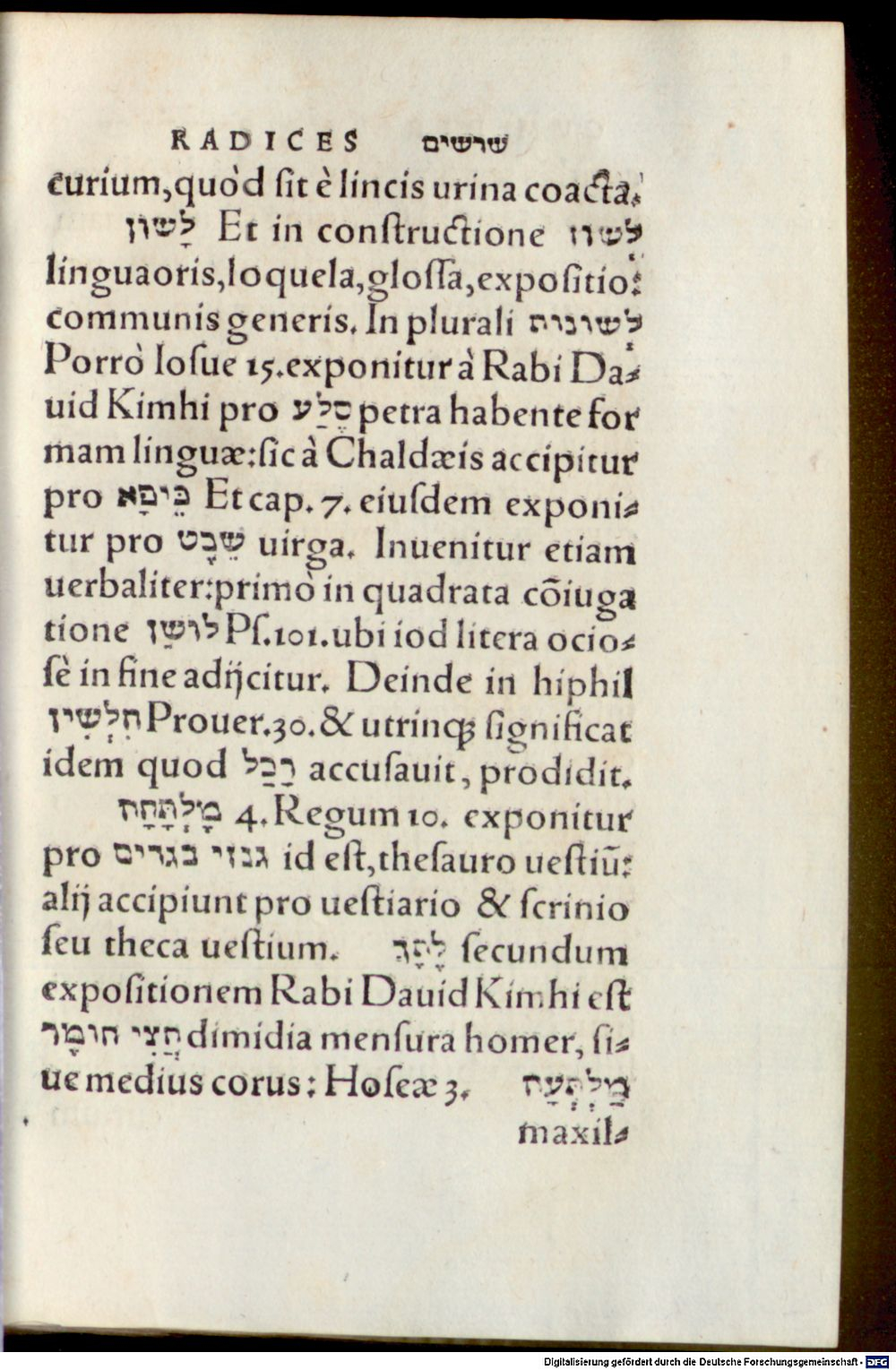 Image
