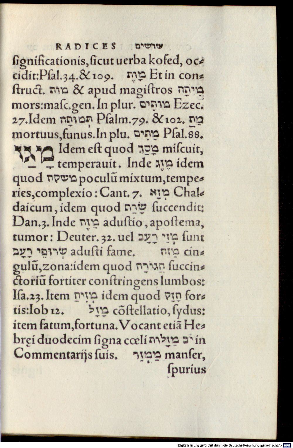 Image