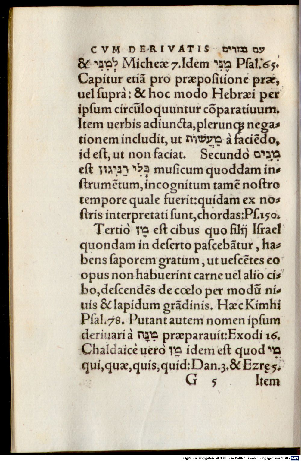 Image