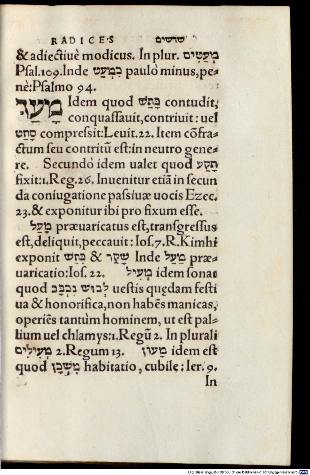 Image