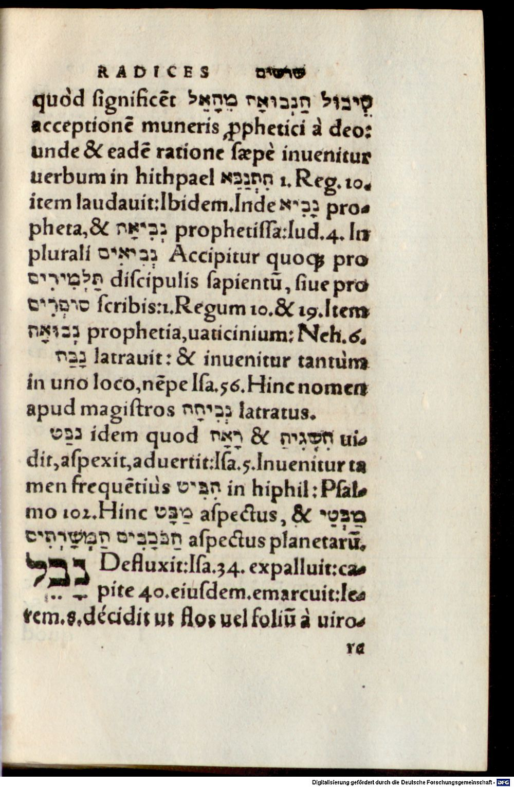 Image
