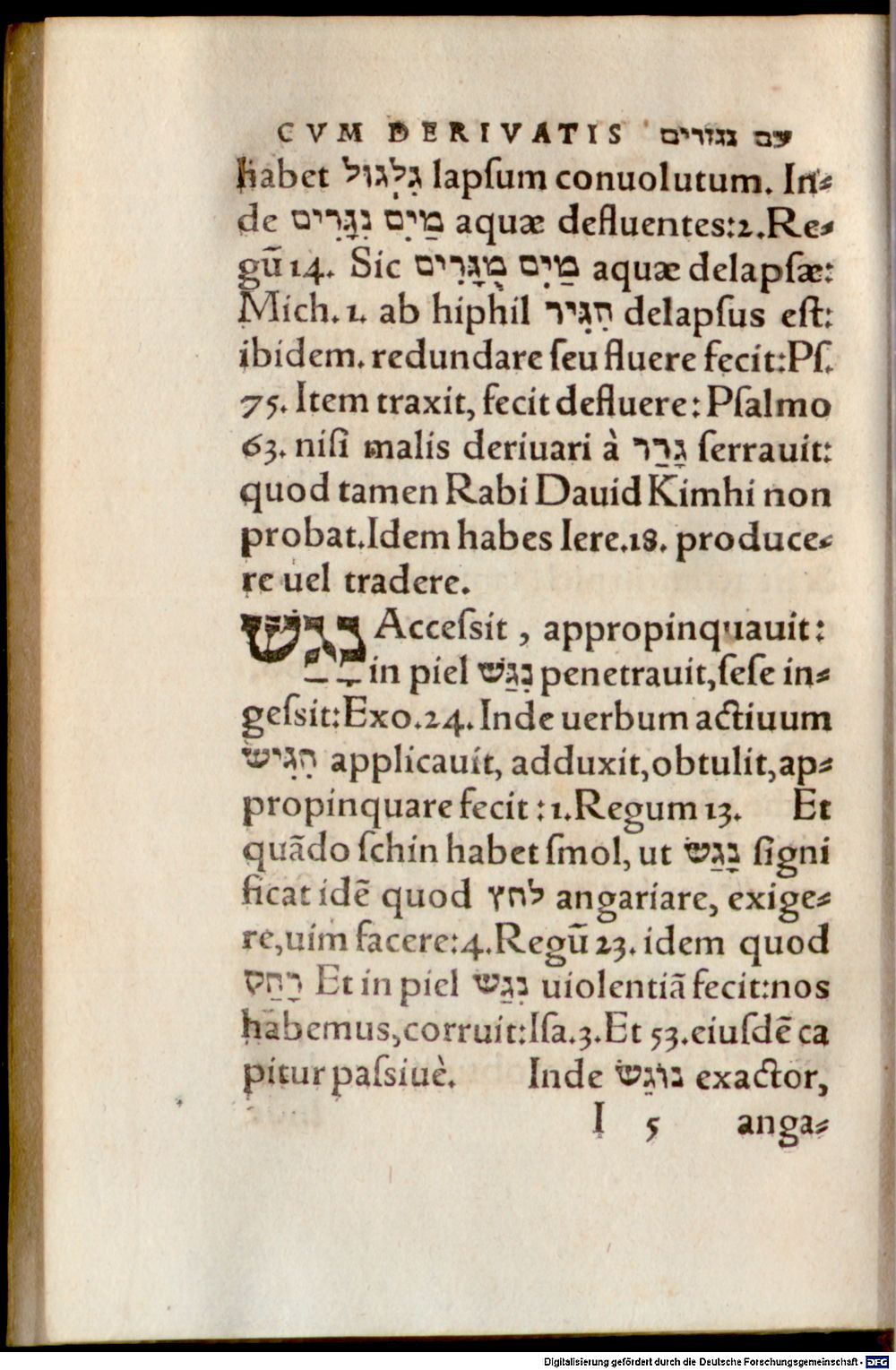 Image