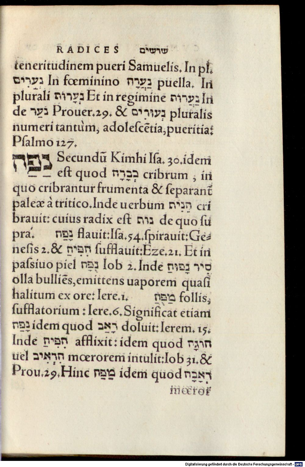 Image