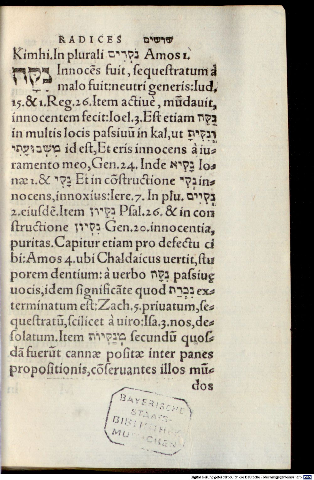 Image