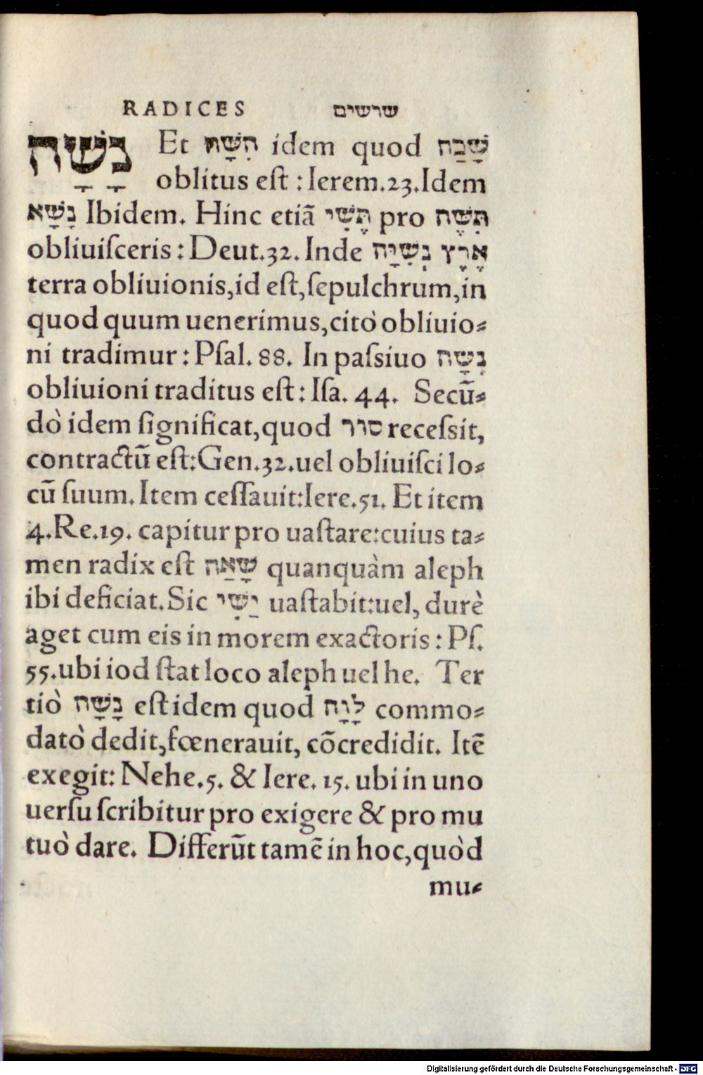 Image