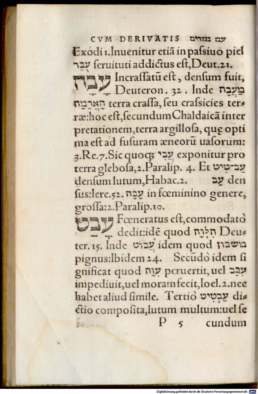 Image