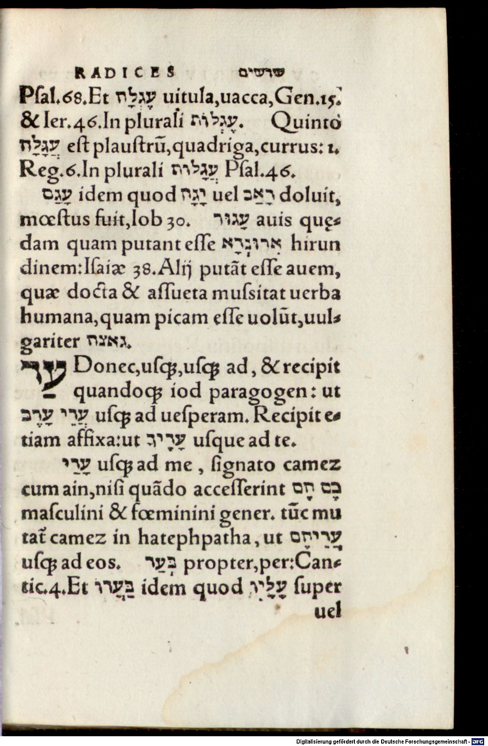 Image