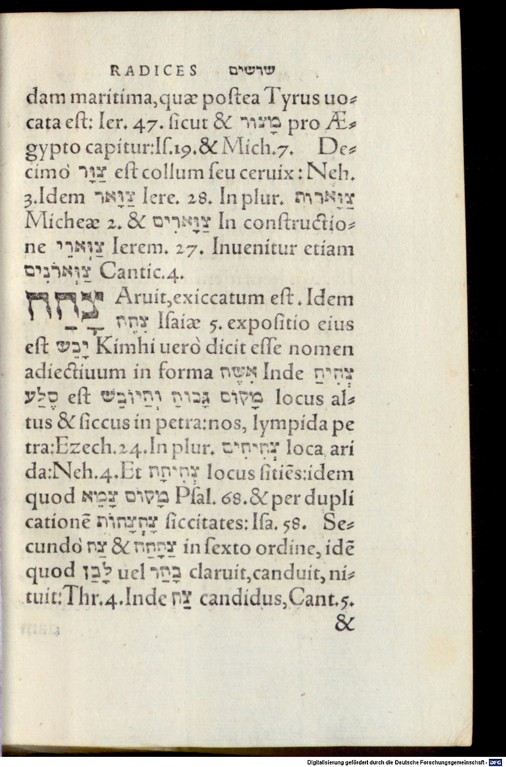 Image
