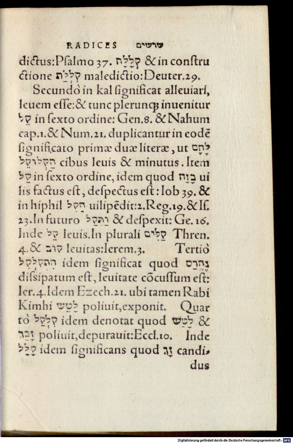 Image
