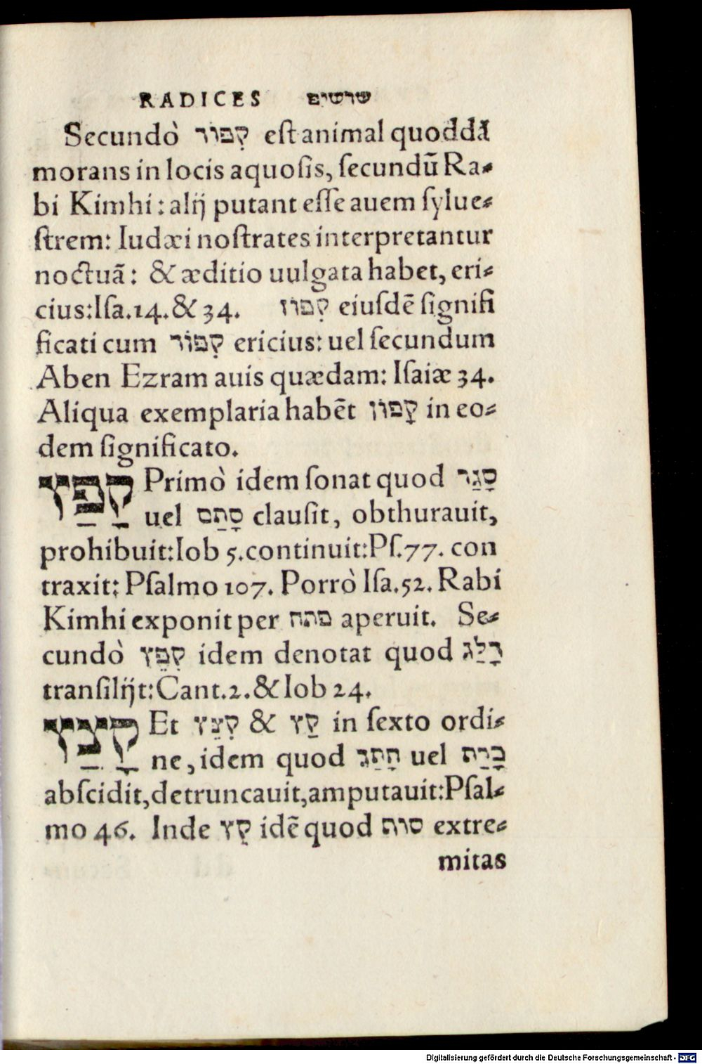 Image