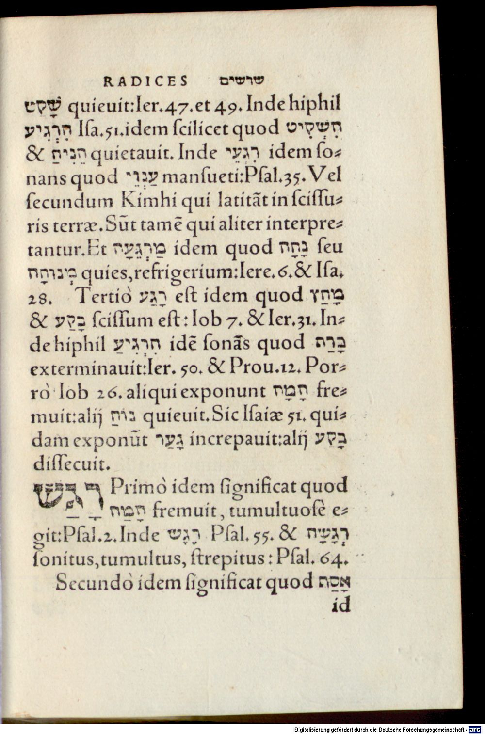 Image