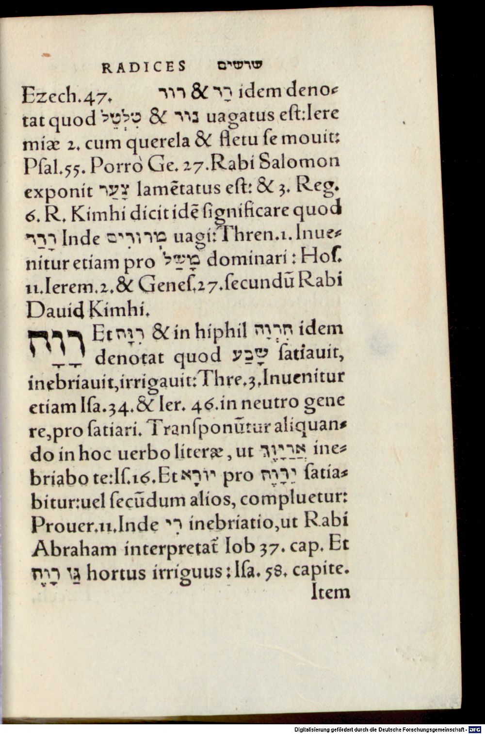 Image