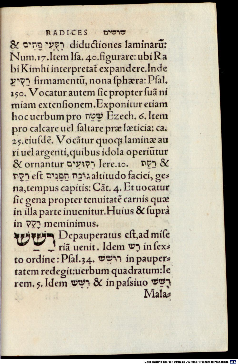 Image