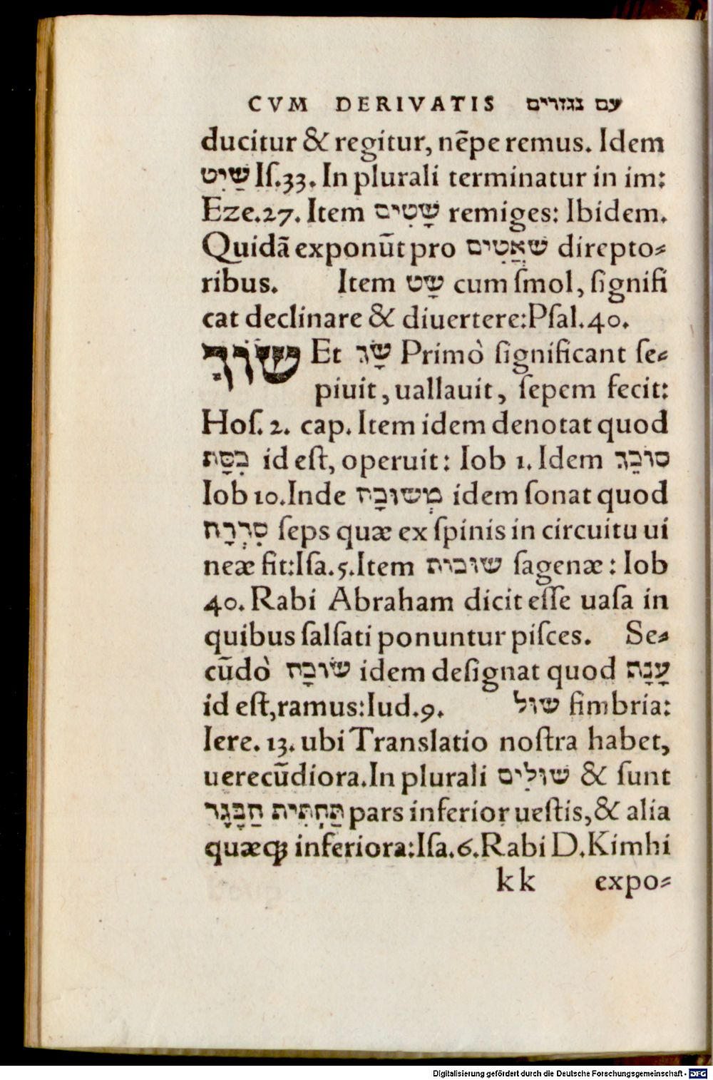 Image