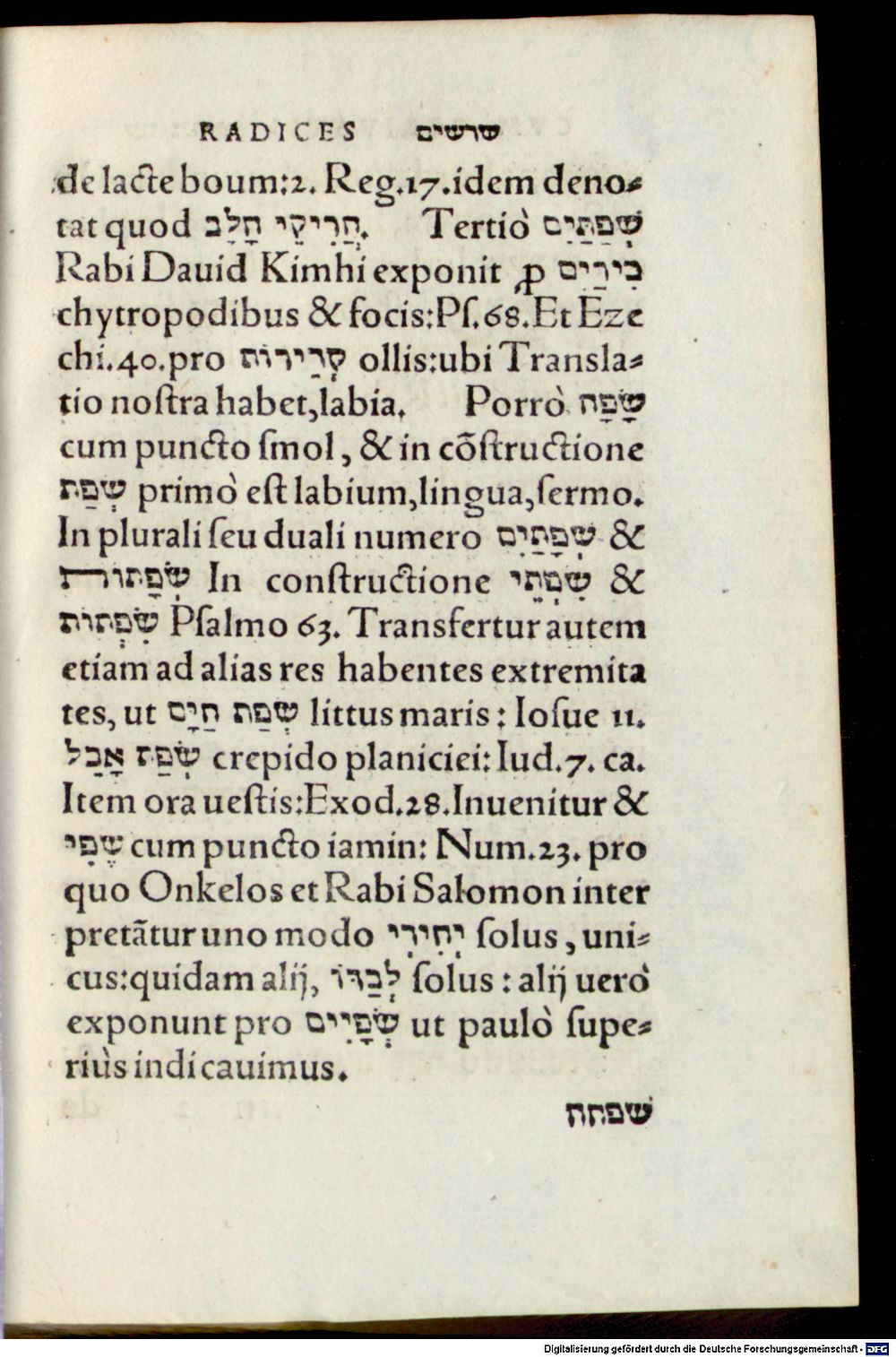 Image