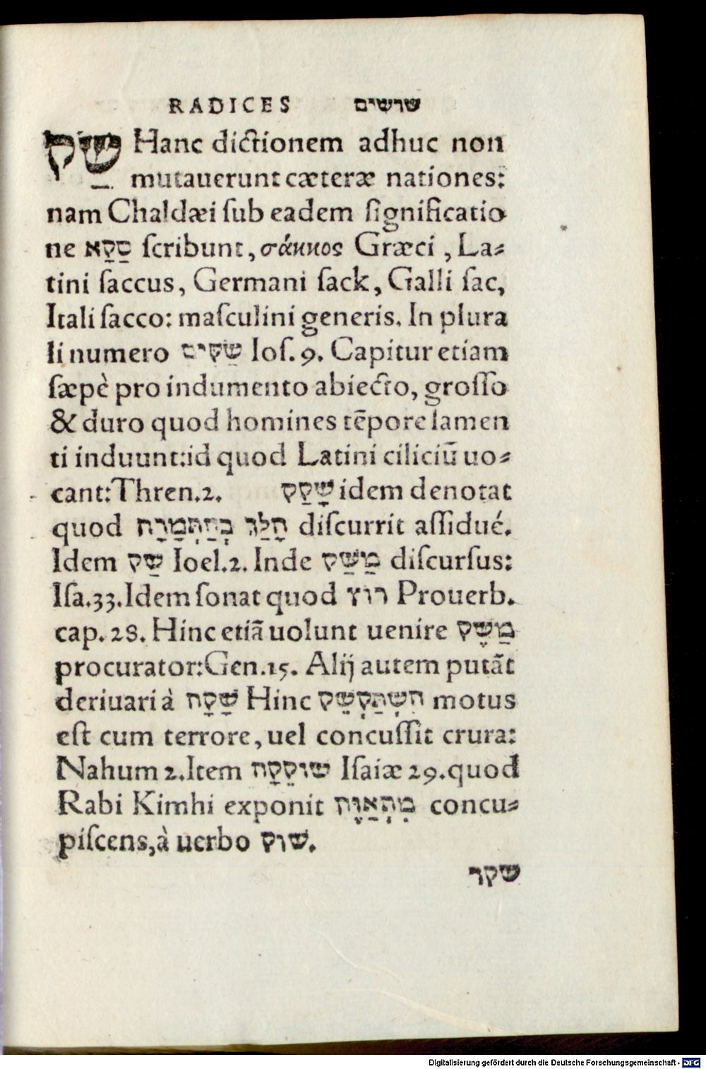 Image