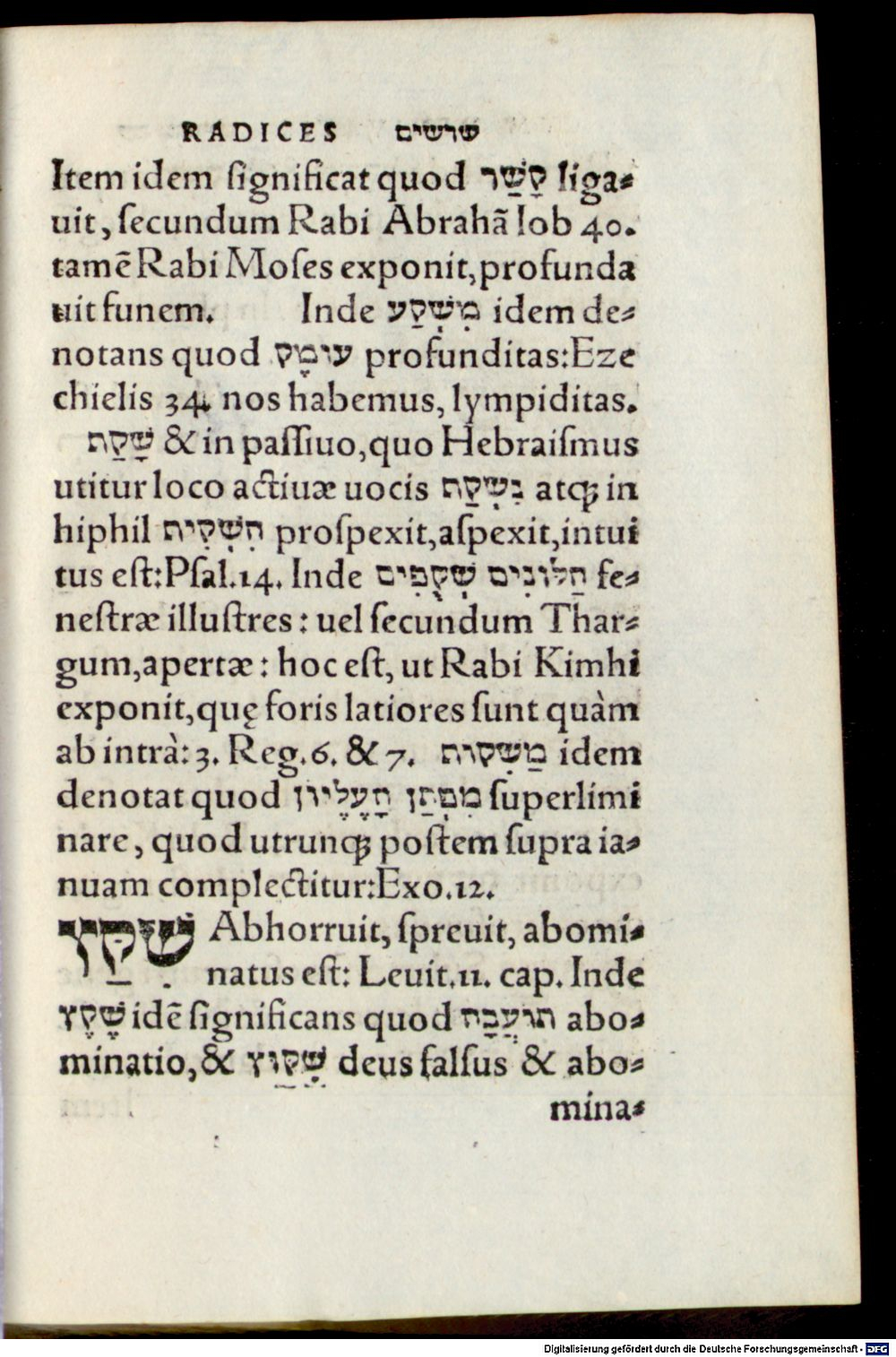 Image