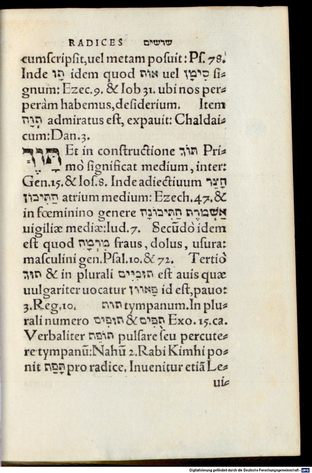 Image