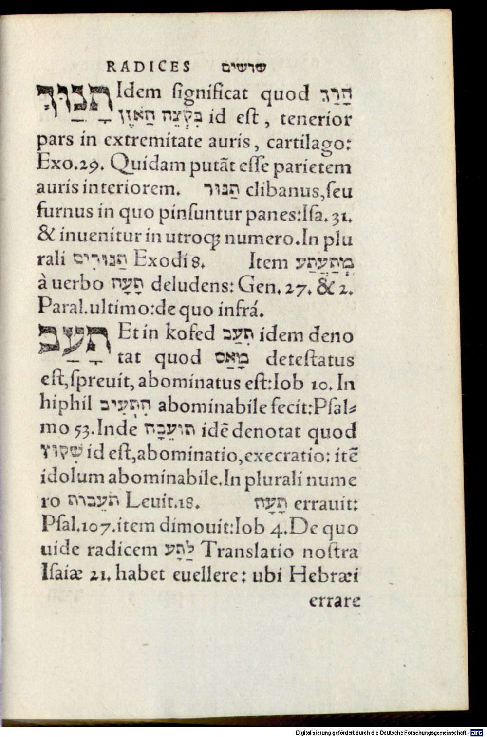 Image