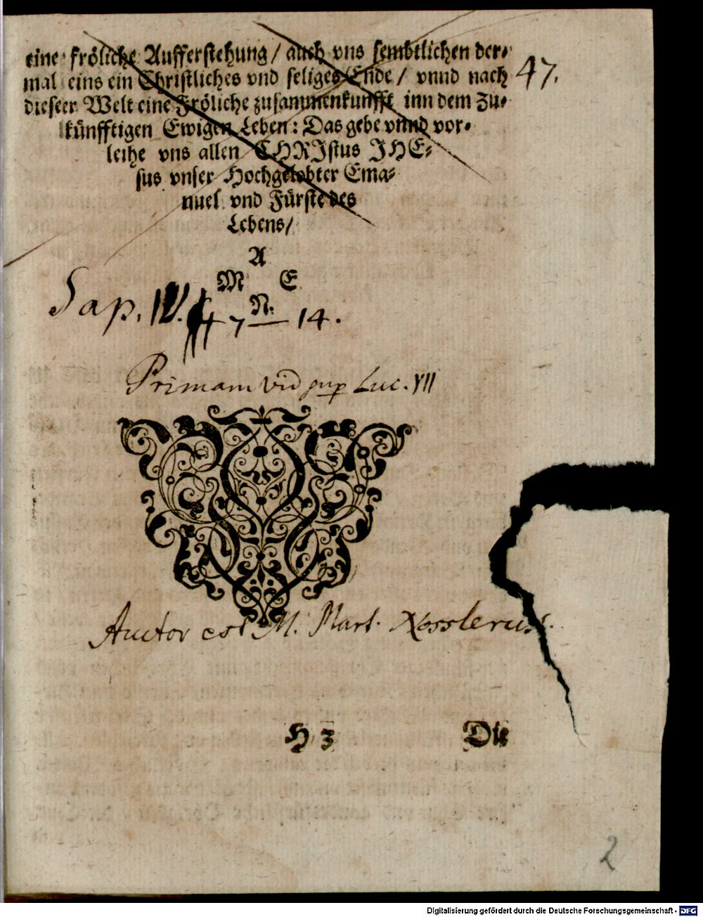 Image