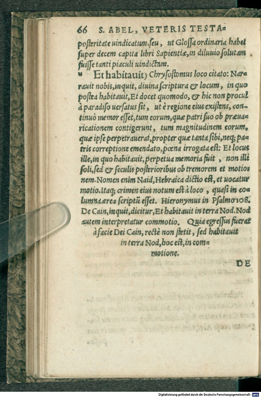 Image