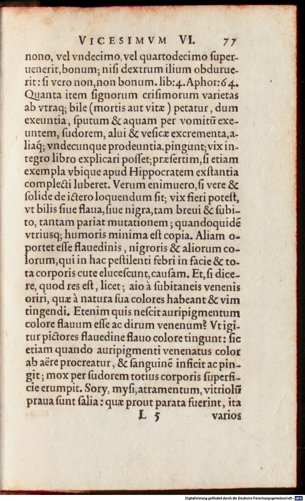 Image