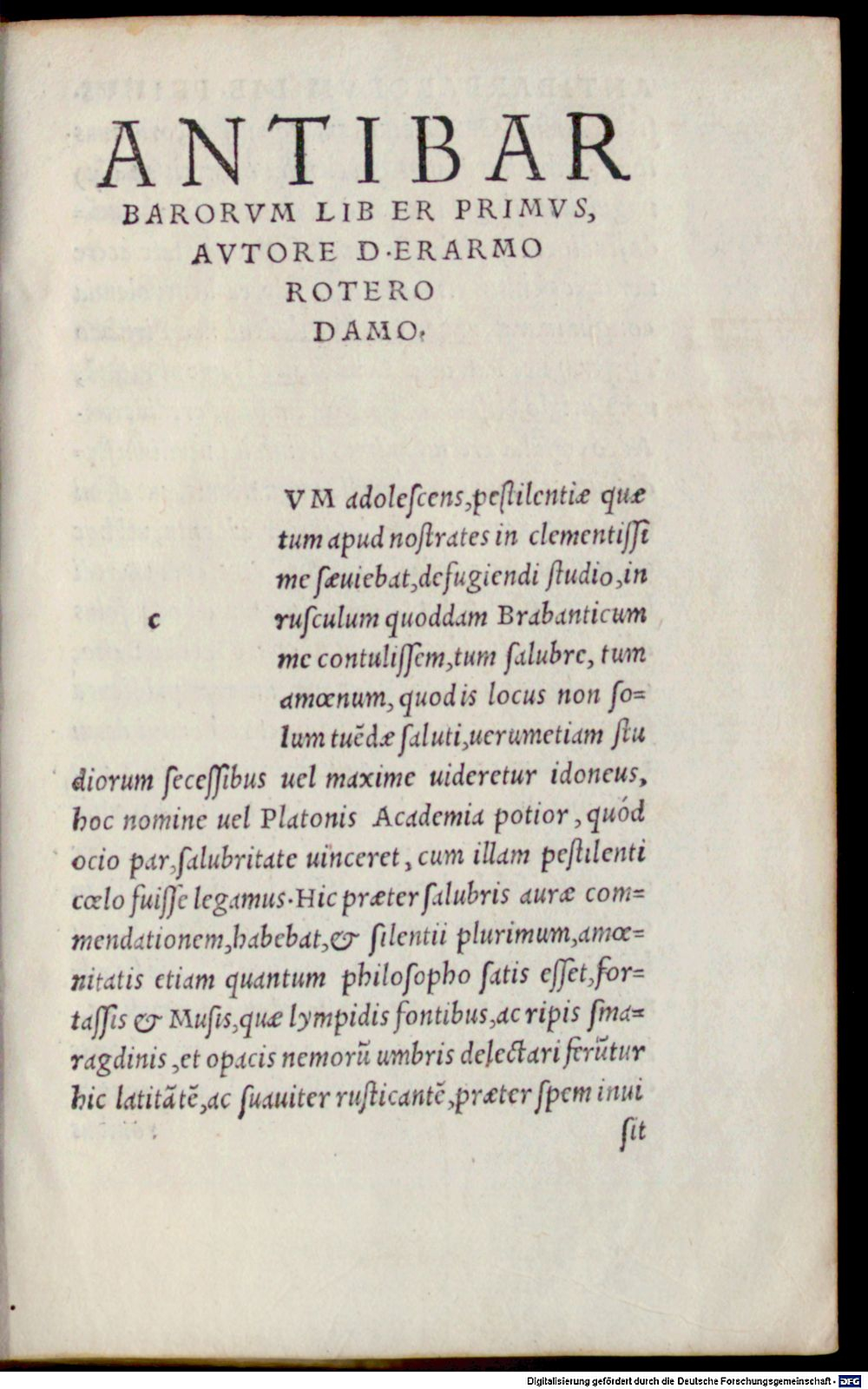 Image