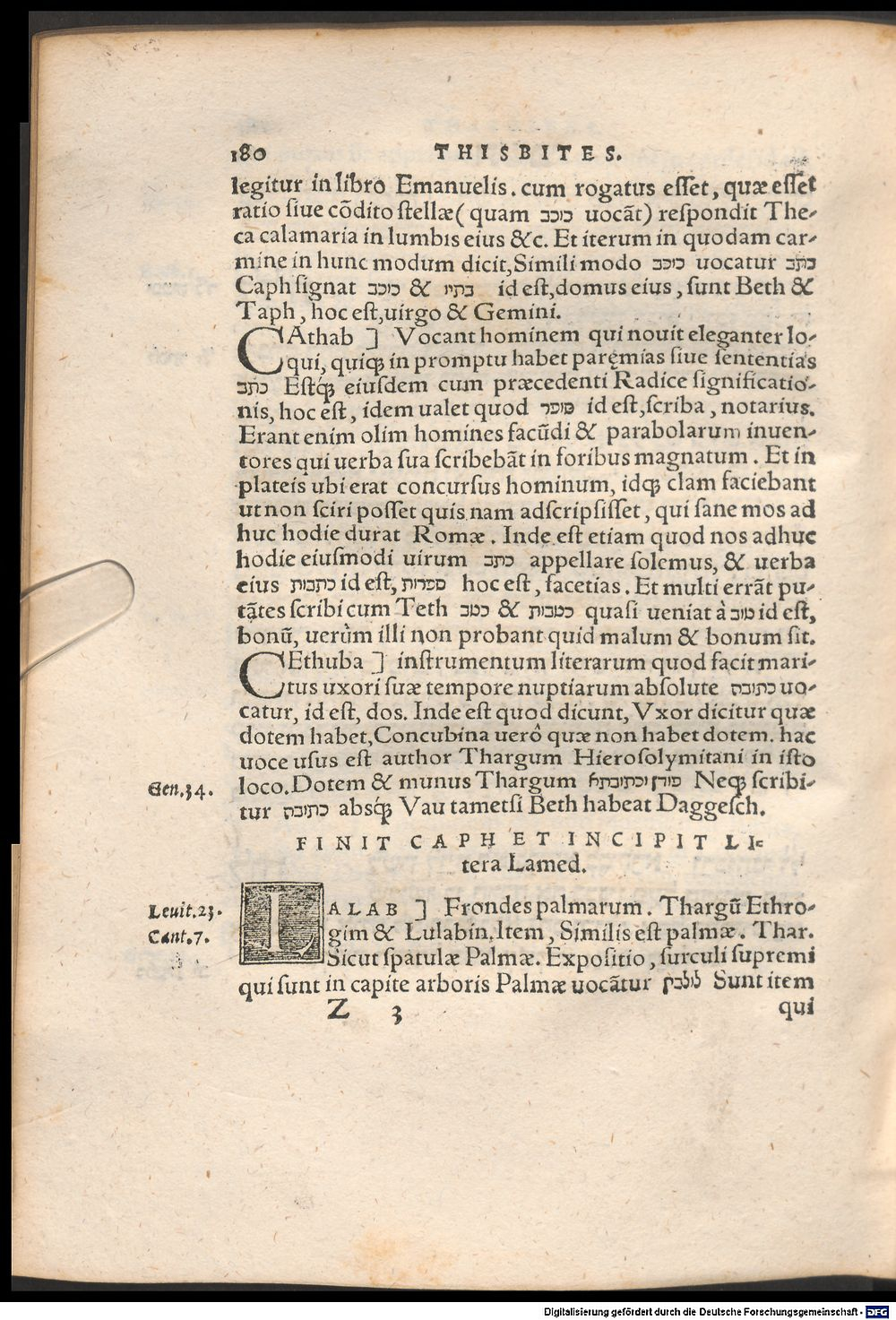 Image