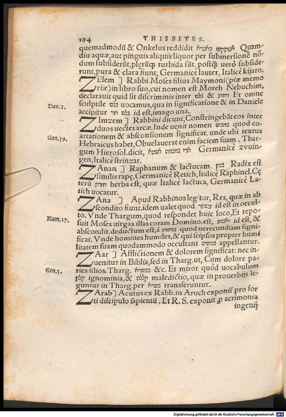 Image