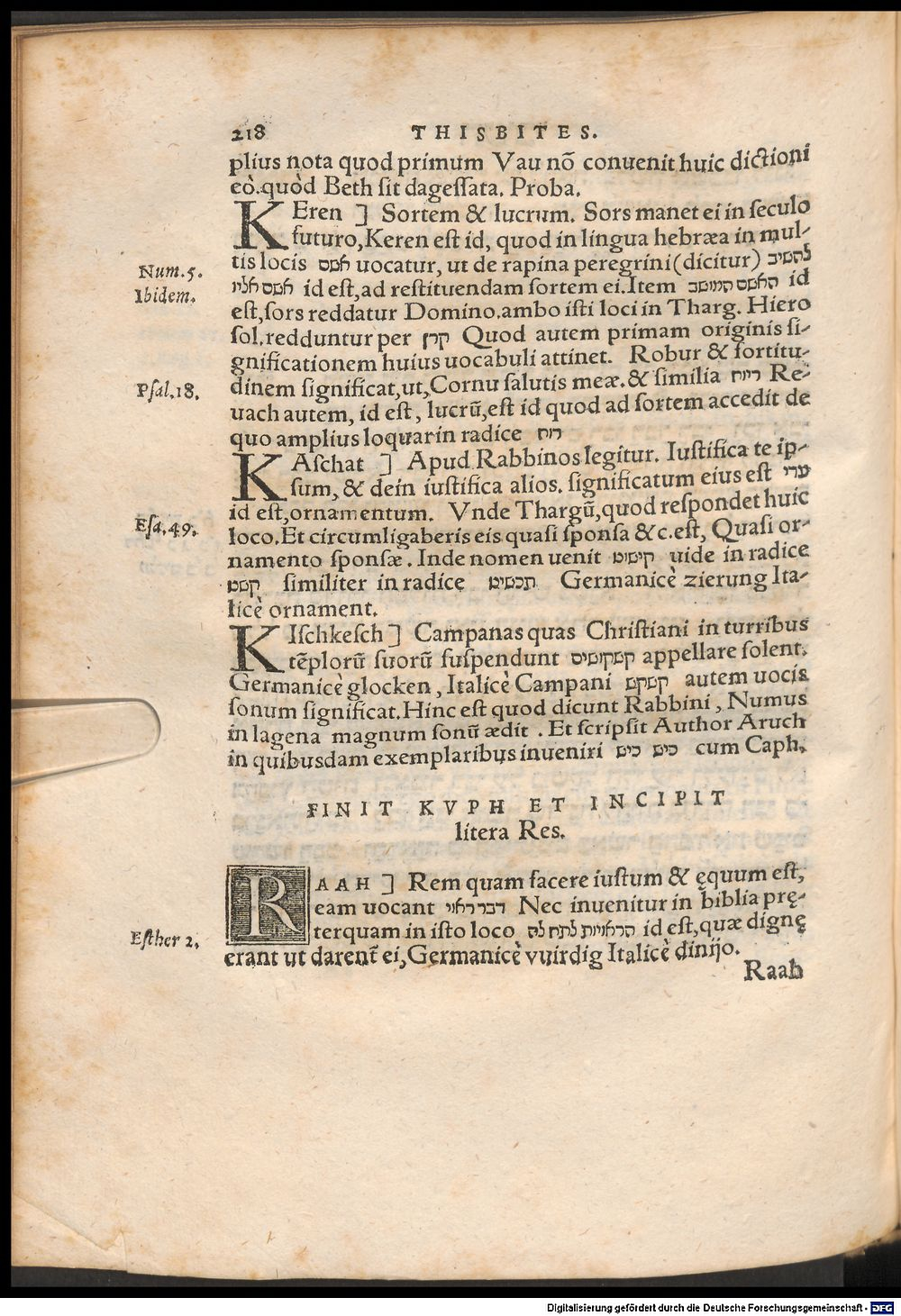 Image