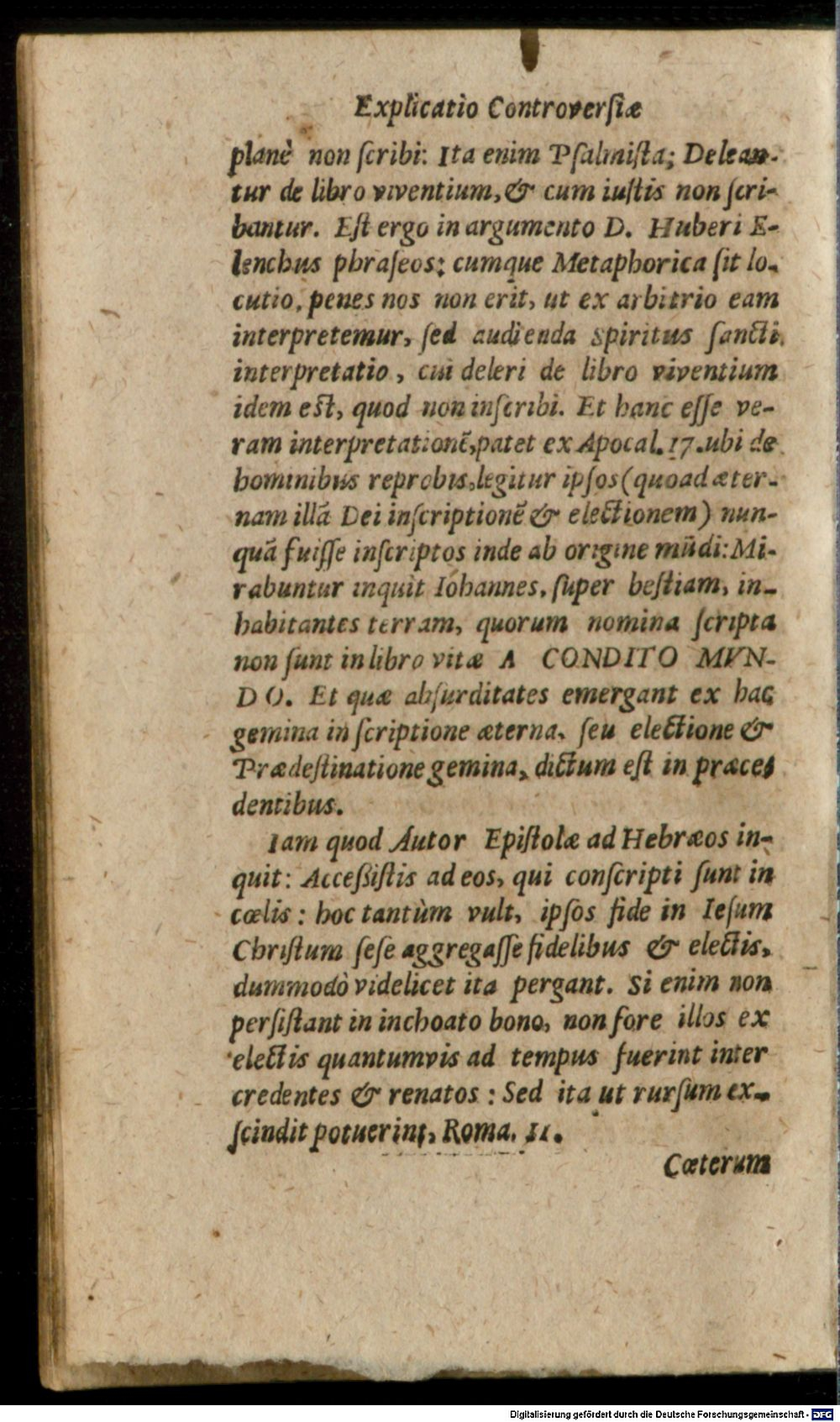Image