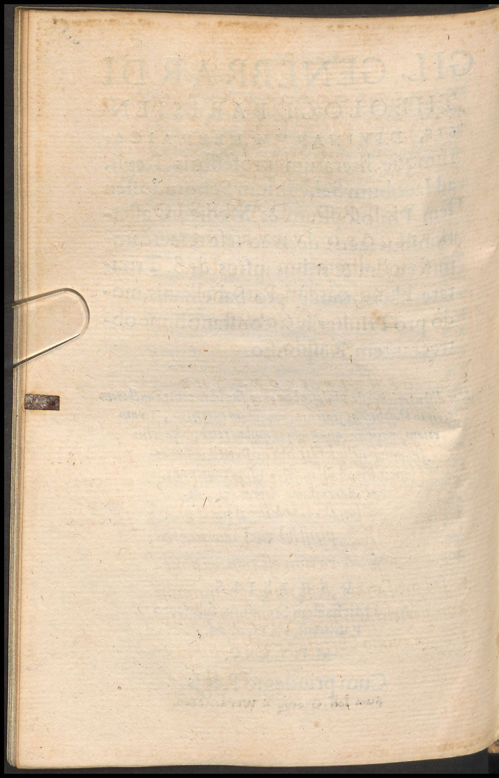 Image