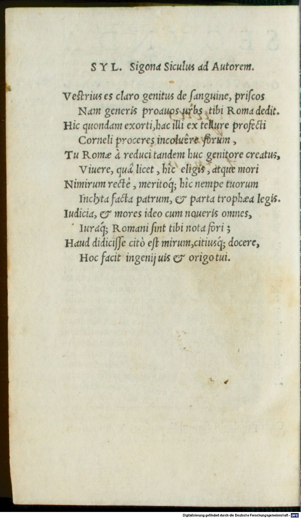 Image