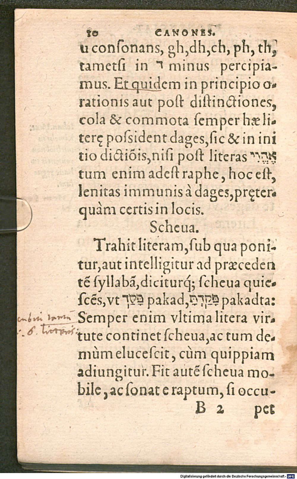 Image