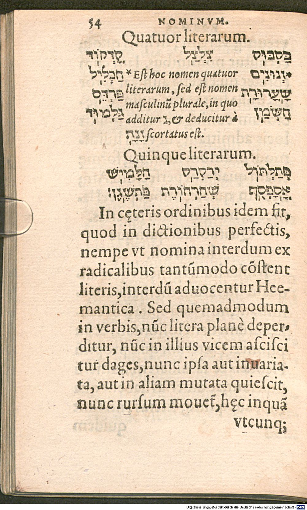 Image