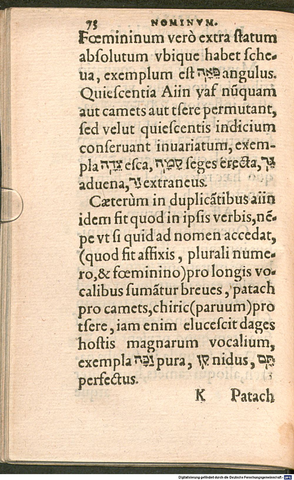 Image