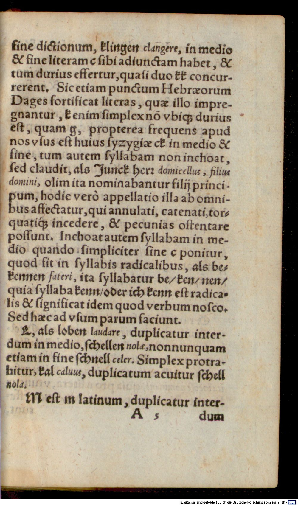 Image