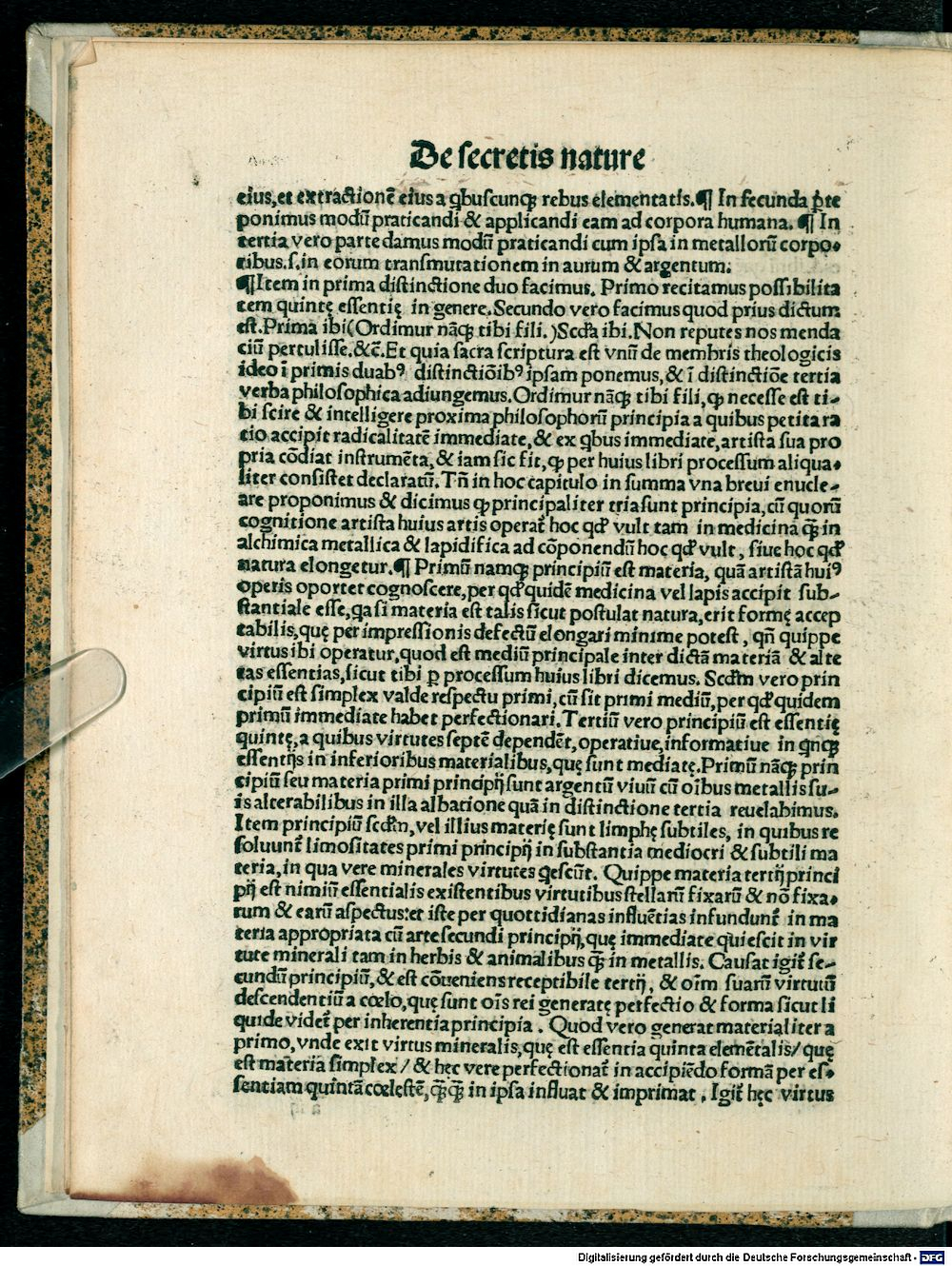 Image