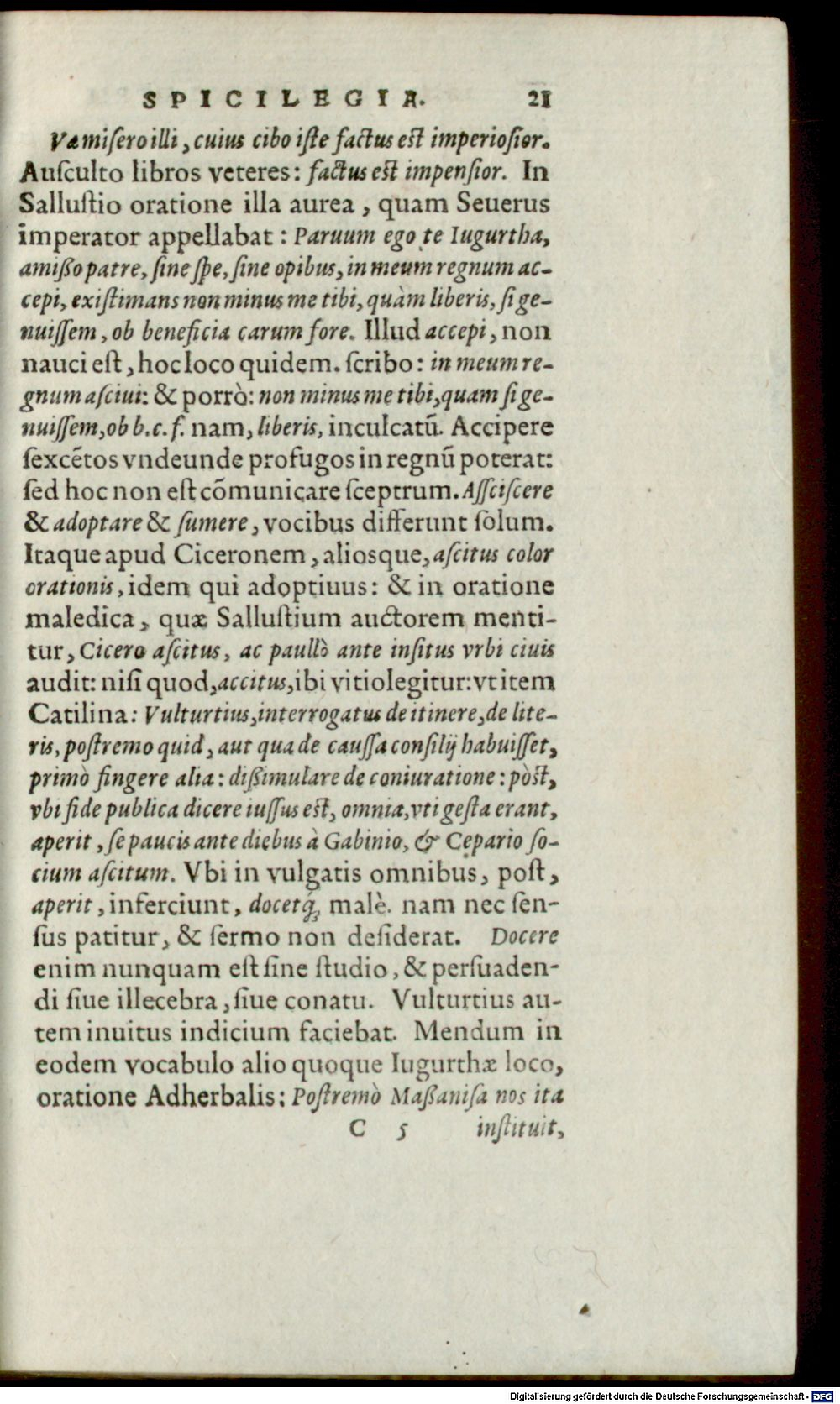 Image
