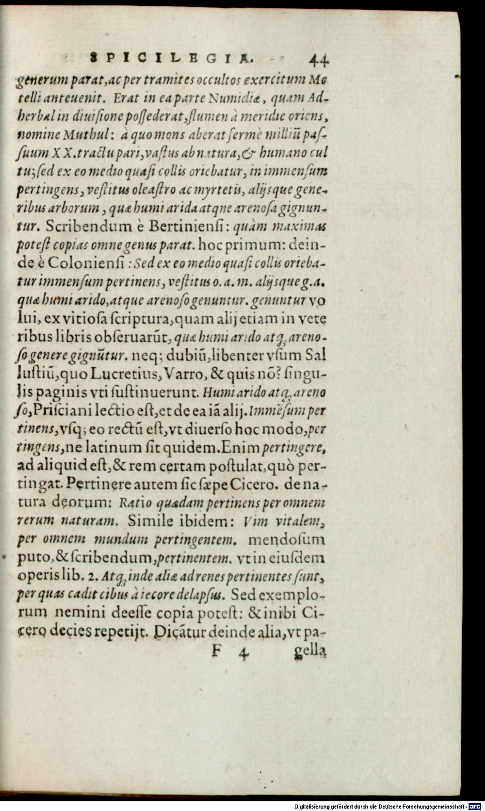 Image