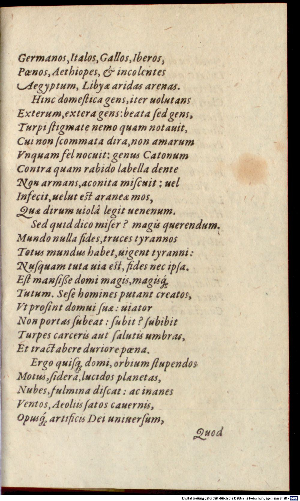 Image