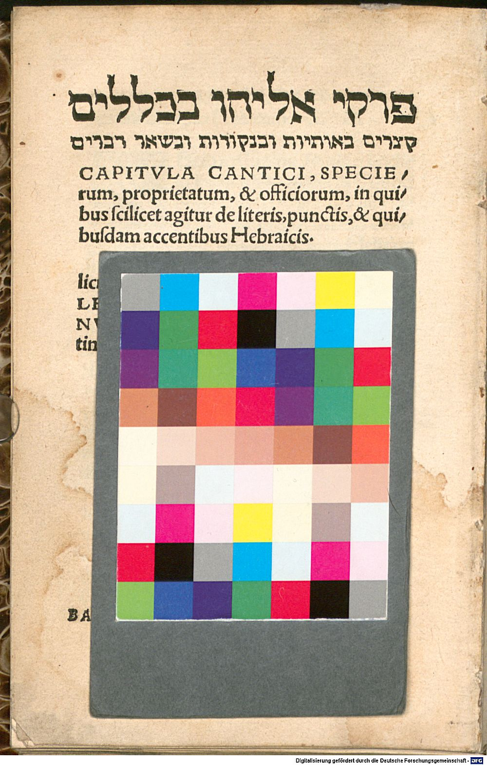Image