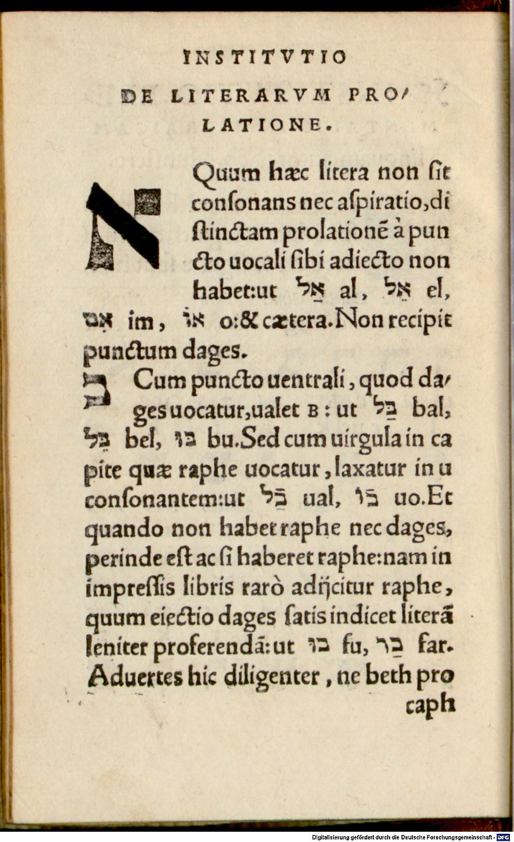 Image