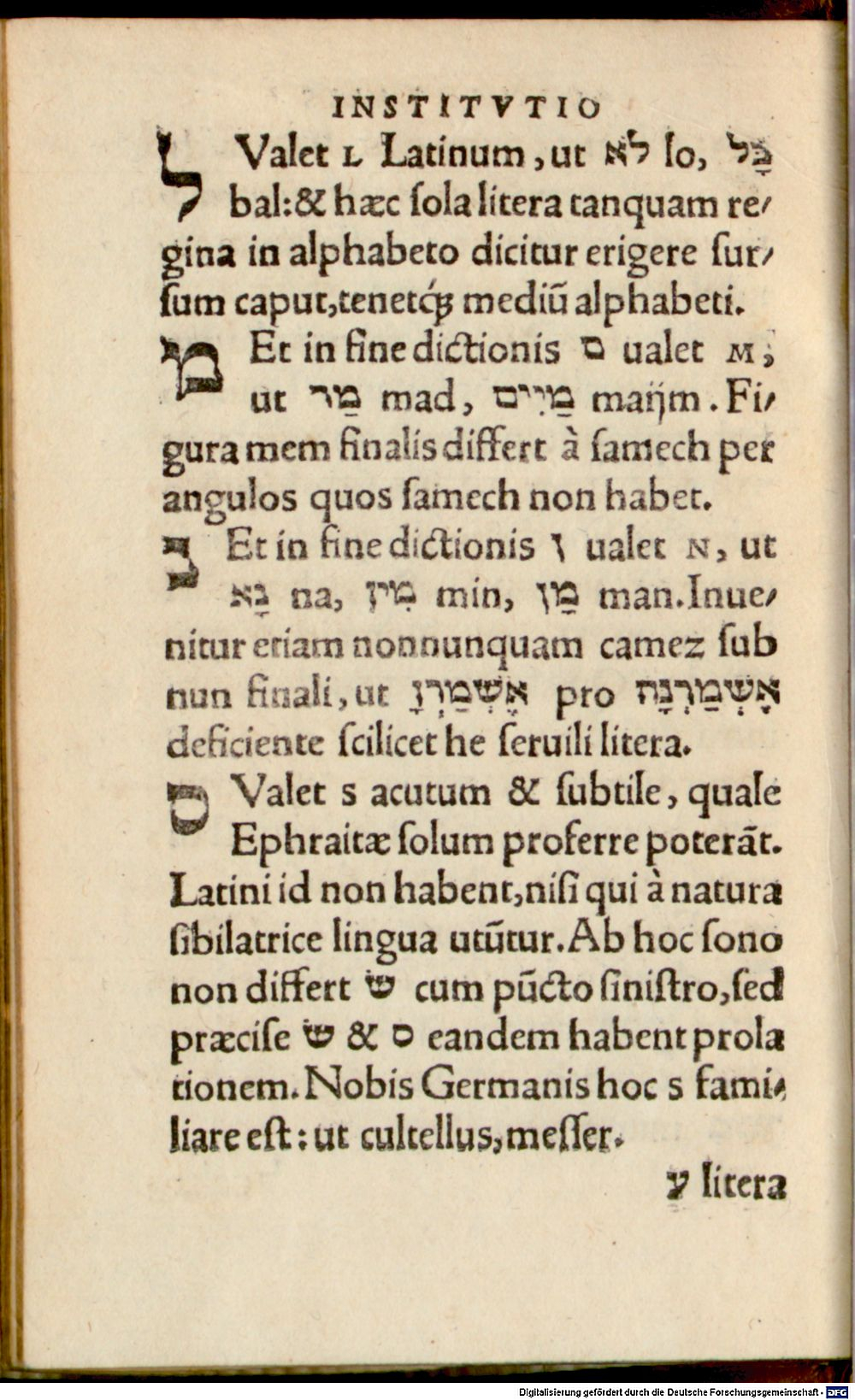 Image