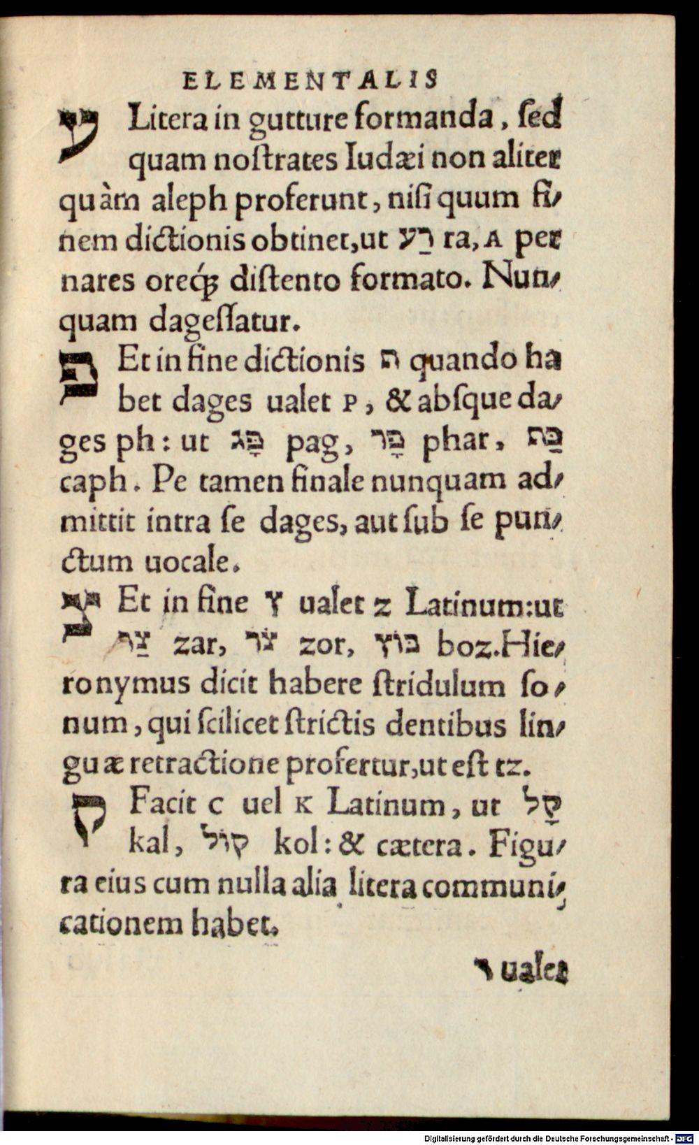Image