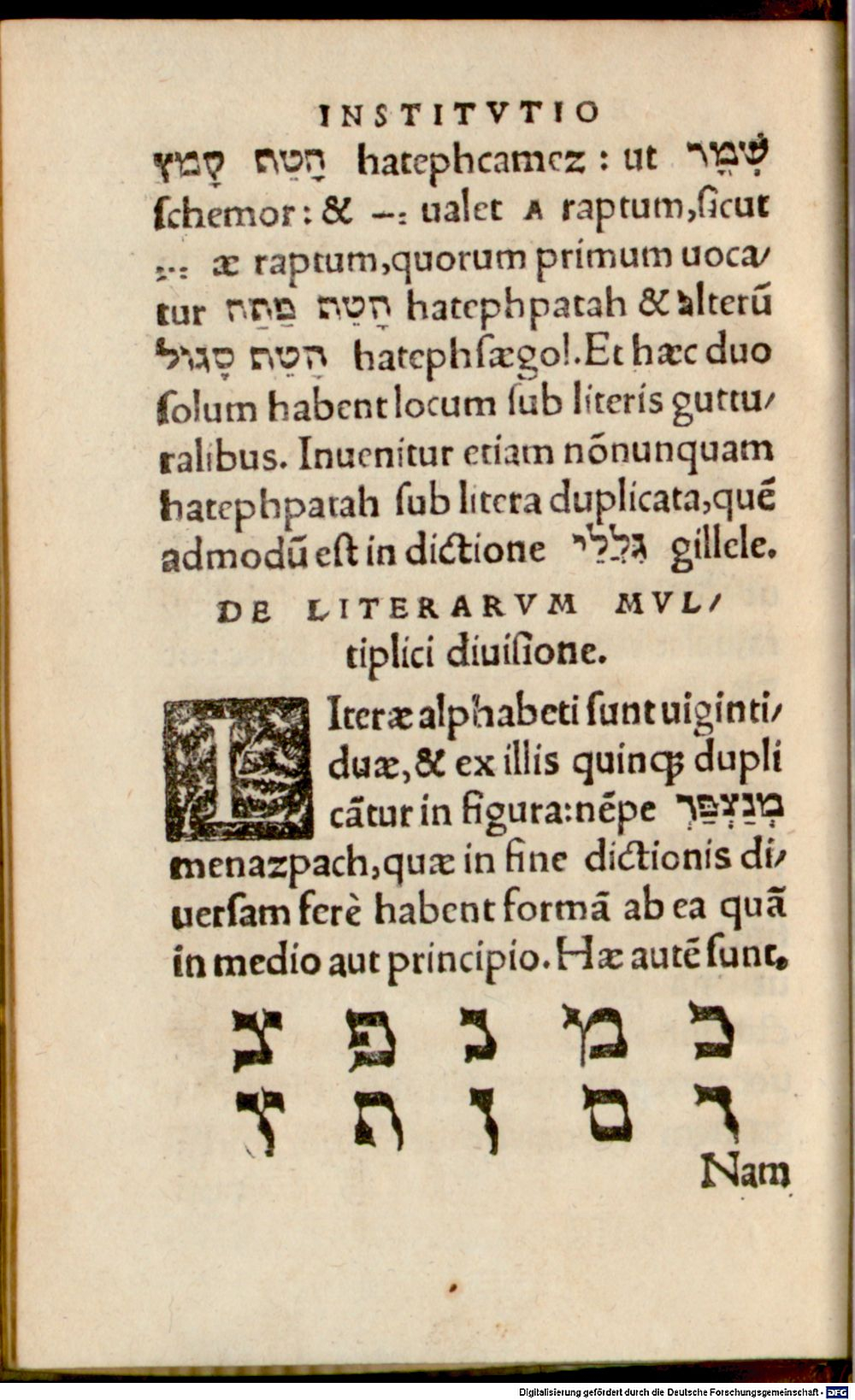 Image
