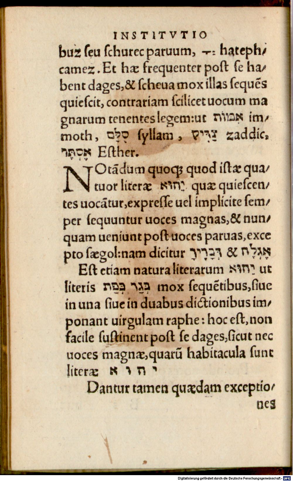 Image