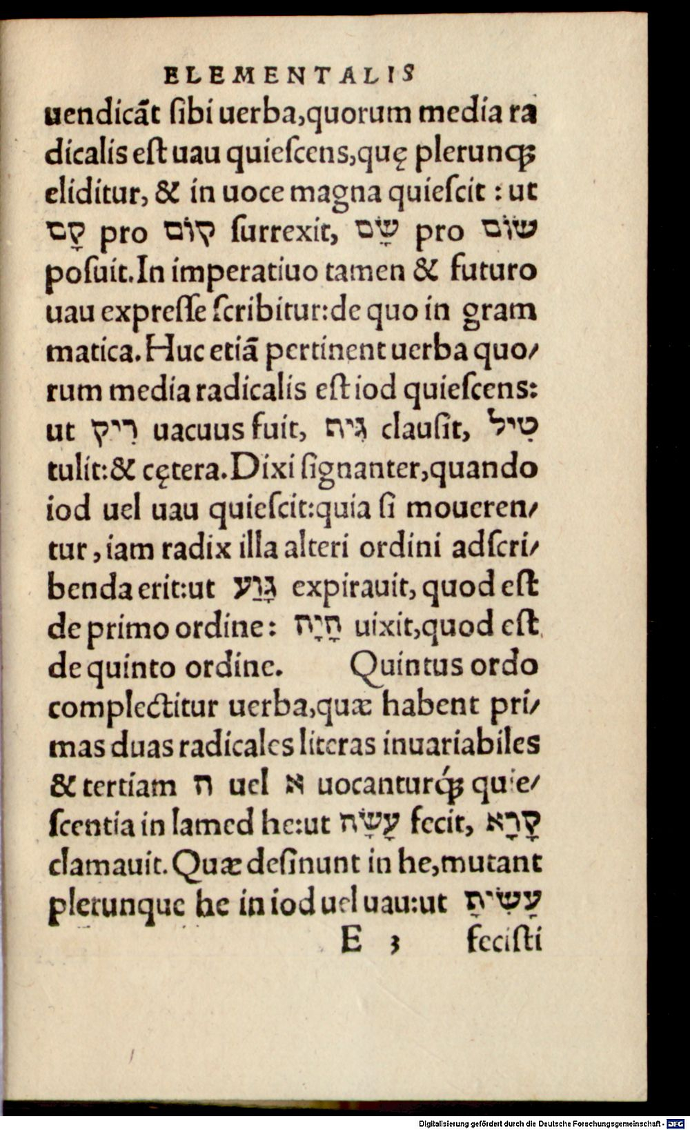 Image