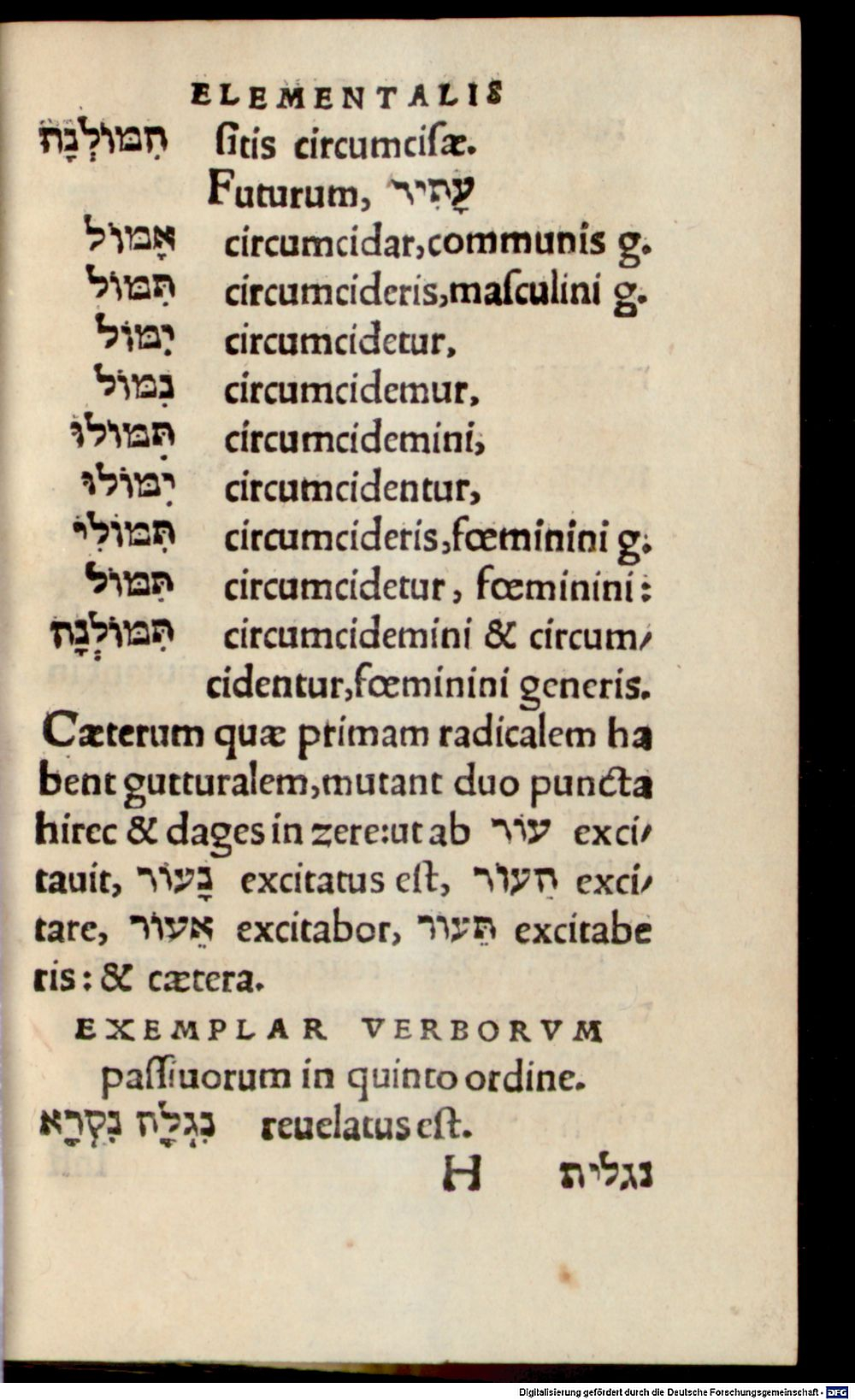 Image