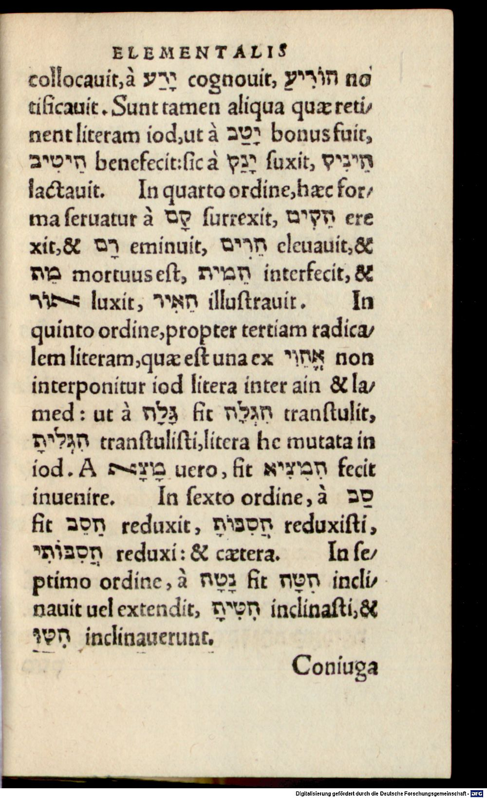 Image